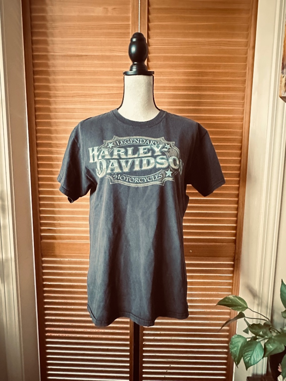 Vintage Harley Davidson T-Shirt: Chattahoochee Riverwalk Biker Tee, Medium